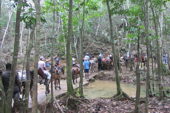 Full Day in Samaná With Limón Waterfall and Cayo Levantado Beach - Health and Safety Considerations