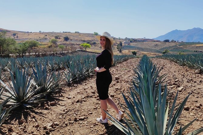 Full Day in Tequila With Tasting and Party in Cantaritos - Sightseeing Highlights