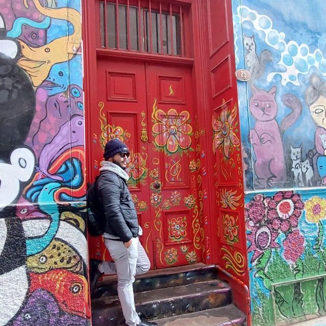 Full Day in Viña Del Mar and Valparaiso From Santiago - Key Points