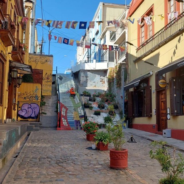 Full Day in Viña Del Mar and Valparaiso From Santiago - Local Seafood Dining Experiences