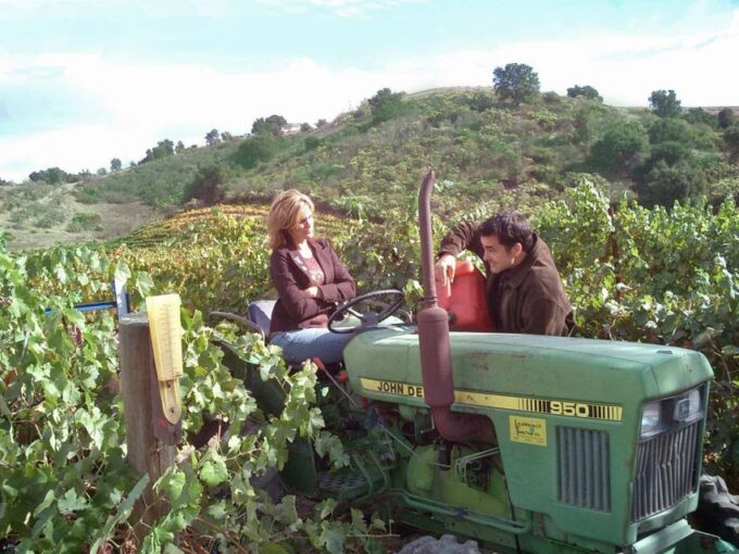 Full-Day Inclusive Wine Tasting Tour From Santa Barbara - Winery Tasting Highlights