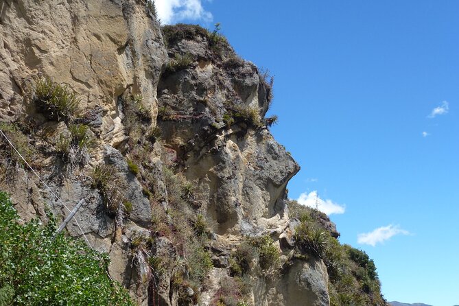 Full Day, Ingapirca Archeological Site and Cuenca City Tour - Included Services