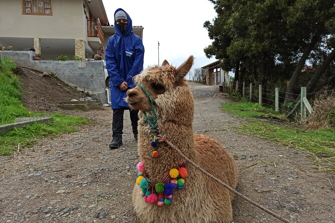 Full-Day Ingapirca Ruins and Gualaceo & Chordeleg Tour From Cuenca - Scenic Views From the Church of Biblian