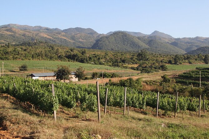 Full Day Inle Lake Trekking - Highlights of the Itinerary