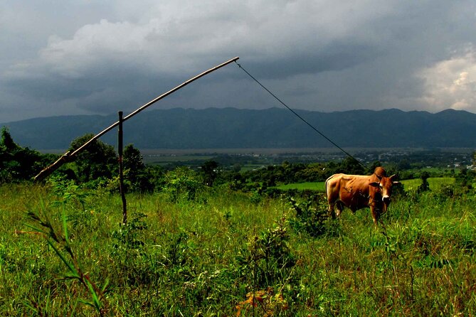 Full Day Inle Lake Trekking - Confirmation and Availability