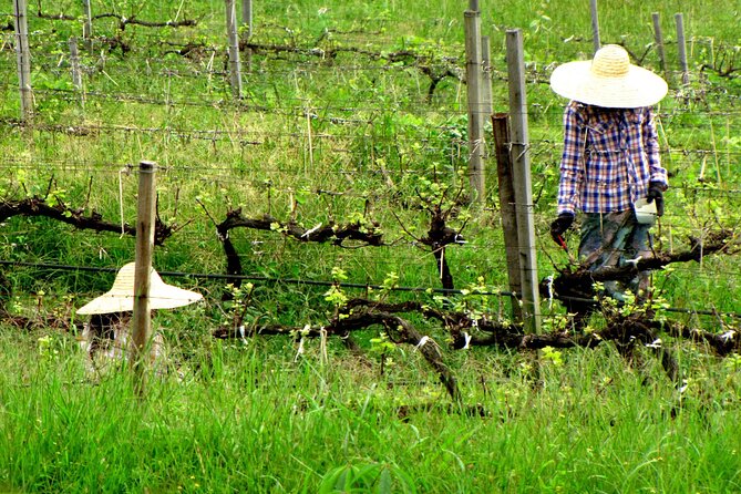 Full Day Inle Lake Trekking - Children Policy