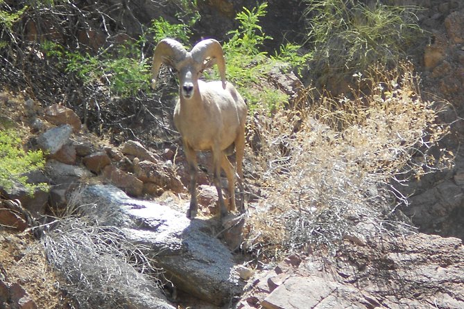 Full-Day Inner Canyon River Tour to the Bottom of Grand Canyon - Meeting & Pickup
