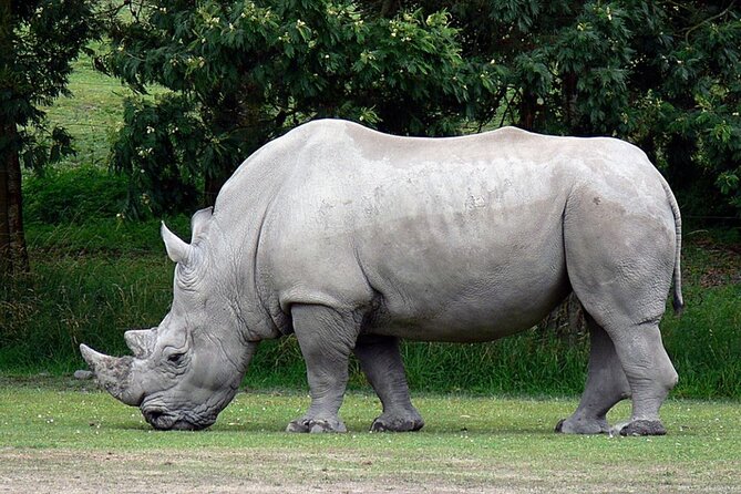 Full Day Isimangaliso Wetlands Park -Croc & Hippo &Game Fr Durban - Guest Reviews