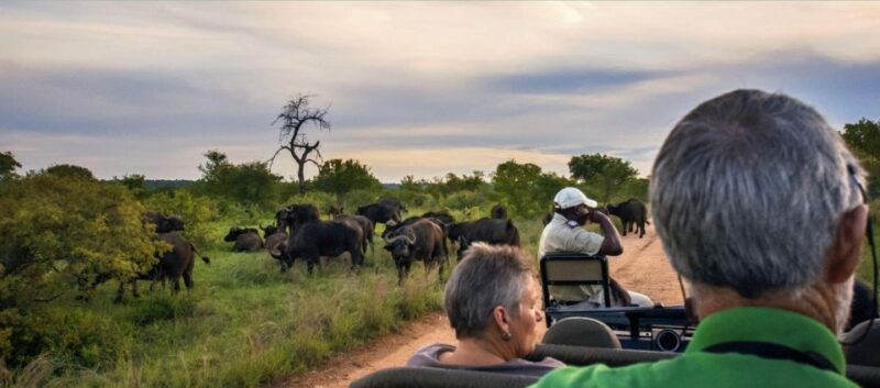 Full Day Isimangaliso Wetlands Park Tour From Durban - Key Points