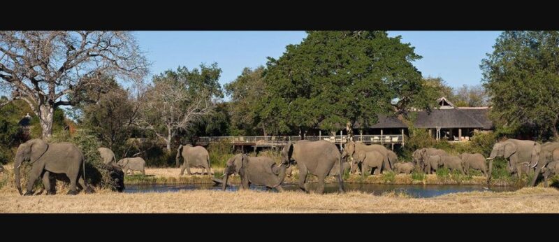 Full Day Isimangaliso Wetlands Park Tour From Durban - Isimangaliso Wetlands Park