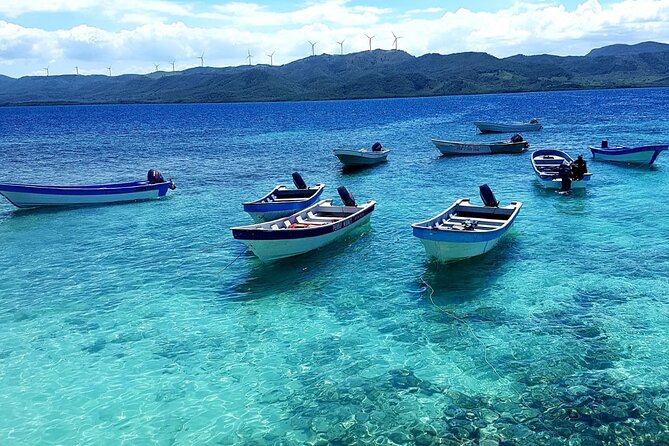 Full Day Isla Bonita Speed Tours - Guest Experiences and Ratings