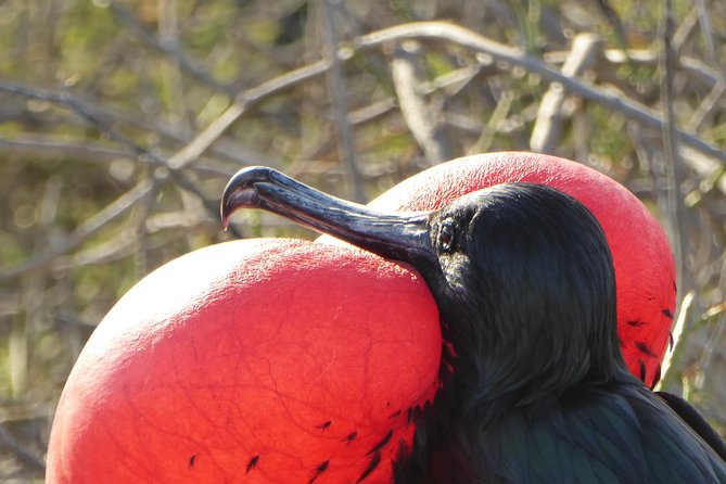 Full Day Isla De La Plata Sunshine Route From Guayaquil - Key Points