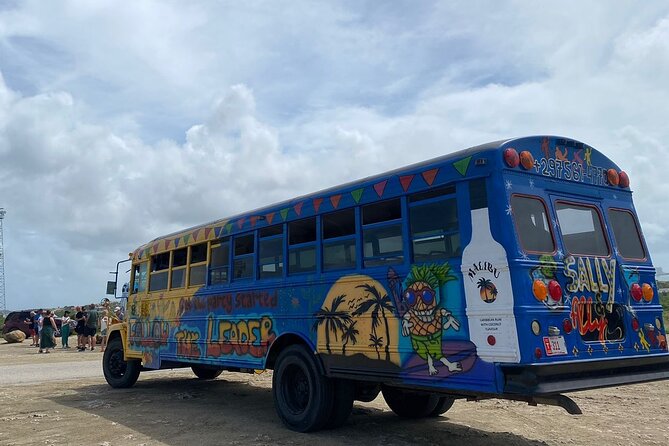 Full Day Island Guided Tour in Aruba - Tour Overview