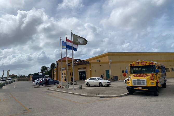 Full Day Island Guided Tour in Aruba - Tour Accessibility