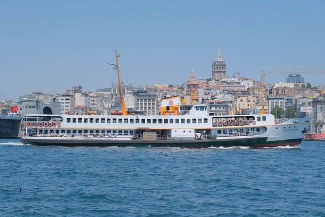 Full Day Istanbul Bosphorus Cruise and Dolmabahce Palace Tour With Private Guide - Inclusions and Exclusions