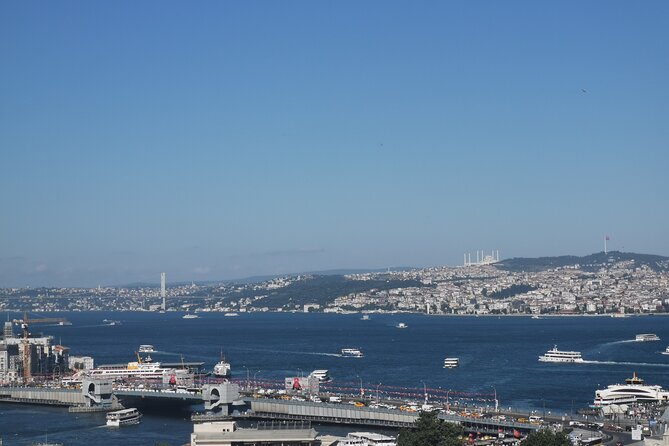Full Day Istanbul Bosphorus Cruise and Dolmabahce Palace Tour With Private Guide - Schedule and Accessibility