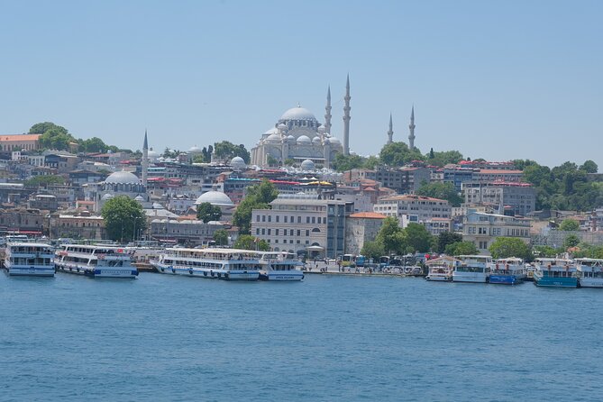 Full Day Istanbul Bosphorus Cruise and Dolmabahce Palace Tour With Private Guide - Booking and Pricing Details