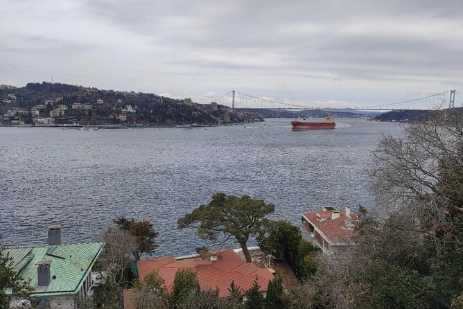 Full Day Istanbul Bosphorus Cruise and Dolmabahce Palace Tour With Private Guide - Experience With Private Guide