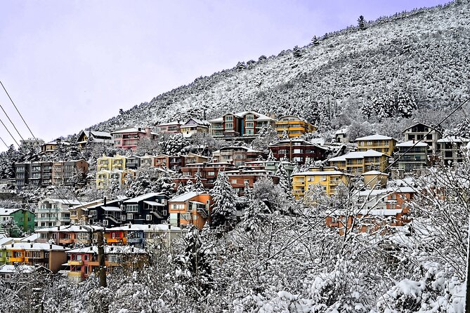 Full-Day Istanbul to Bursa Excursion With Cable Car - Included in the Excursion