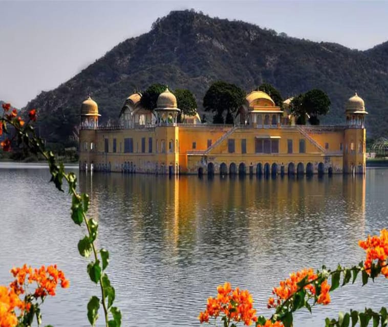 Full-Day Jaipur Tour From Delhi - Transportation and Services