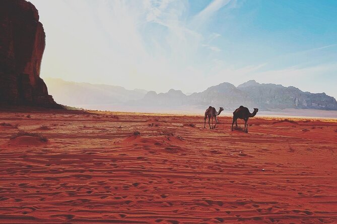 Full Day Jeep and Camel Tour - Included Amenities