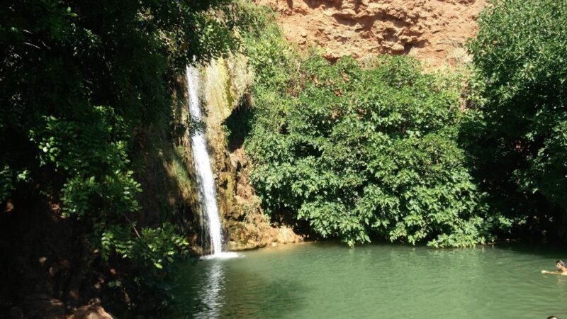 Full-Day Jeep Safari Algarve Moments - Experience Highlights