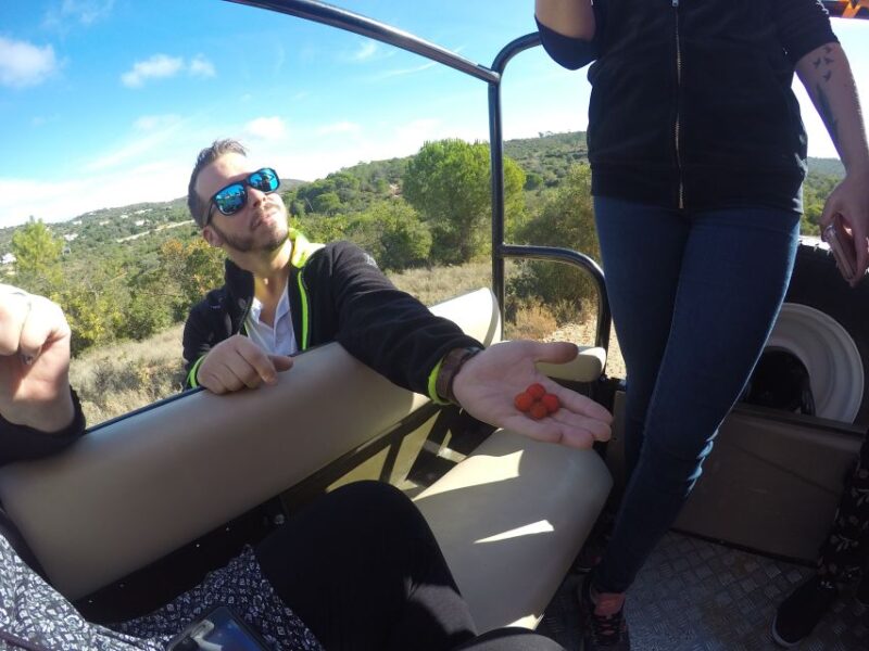Full-Day Jeep Safari Algarve Moments - Participant Information