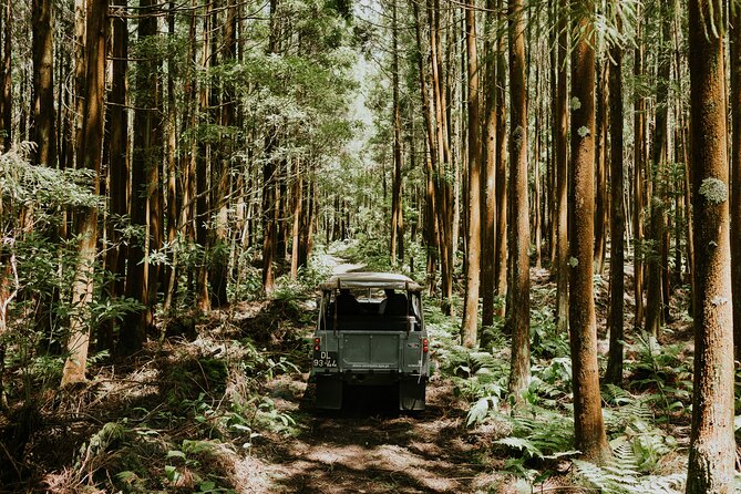 Full Day Jeep Safari Tour - Terceira Island - Booking Information