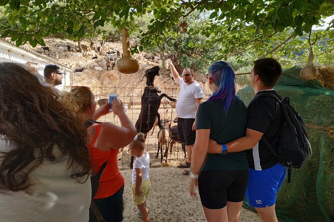 Full-Day Jeep Safari Tour With Cooking Lesson - Local Cretan Life Experience