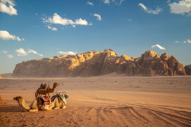 Full-Day Jeep Tour, Wadi Rum Desert Highlights - Reviews