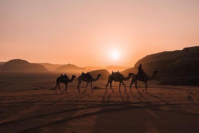 Full Day Jeep Tour With Overnight in Beduin Camp Stay! (All Meals Included) - Meeting and Pickup