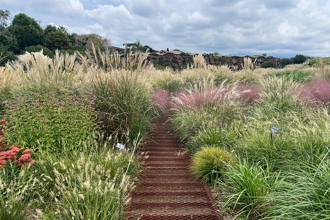 Full-Day Jeju Island SOUTH Tour Review - Additional Information