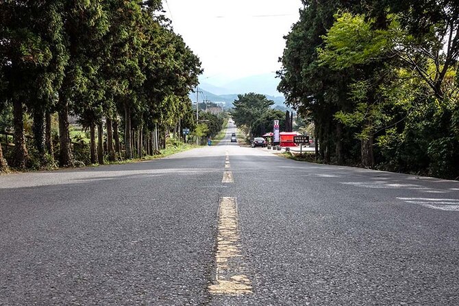 Full-Day Jeju Island SOUTH Tour Review - Highlights of the Tour