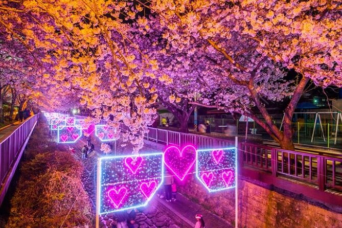 Full-Day Jinhae Cherry Blossom Festival Private Tour - Customizing the Itinerary