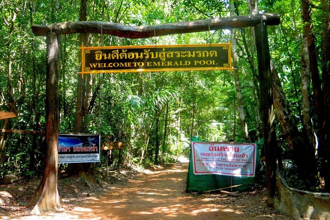 Full-Day Jungle Tour Including Tiger Cave Temple, Crystal Pool and Krabi Hot Springs - Reviews and Feedback