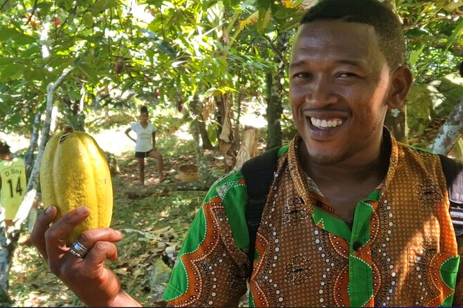 Full-Day Jungle Trek on Nosy Komba (Lemur Island) With the Black Lemur Sanctuary - Health and Safety Considerations