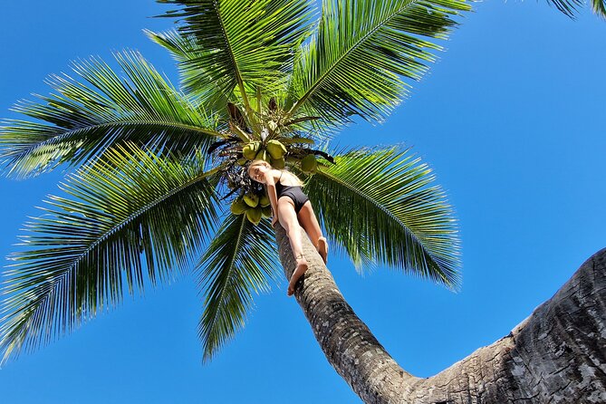 Full-Day Jungle Trek on Nosy Komba (Lemur Island) With the Black Lemur Sanctuary - Nosy Komba Jungle Trek