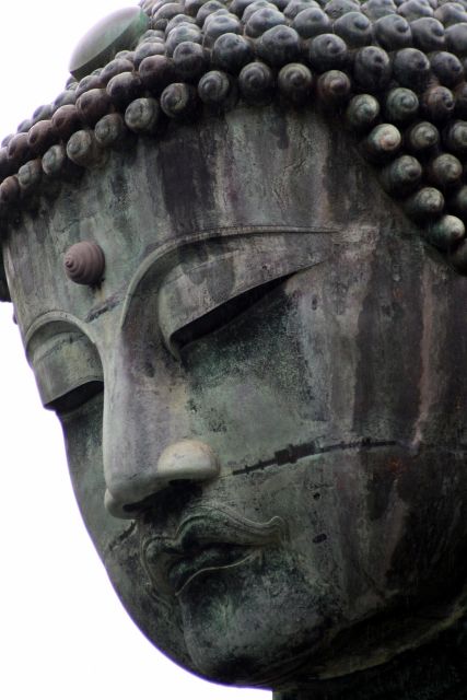 Full Day Kamakura Private Tour With English Speaking Driver - Visiting Hase-dera and Shrine