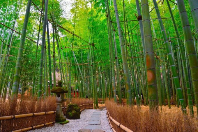 Full Day Kamakura Private Tour With English Speaking Driver - Frequently Asked Questions