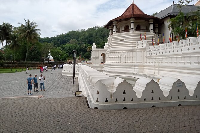Full Day Kandy City Tour | From Colombo - Accessibility and Transportation