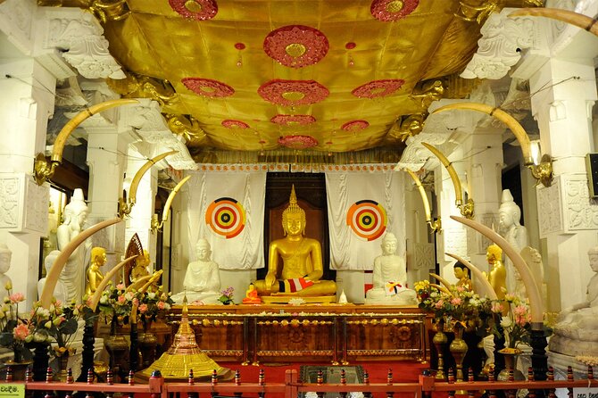 Full Day Kandy City Tour From Kandy. - Inclusions and Exclusions
