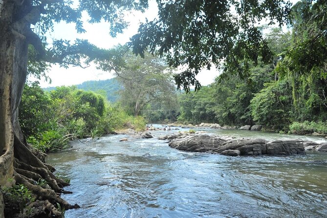Full Day Kandy Walking Tour With TUK Tuk Ride to Peradeniya Gardens - Exploring Kandy
