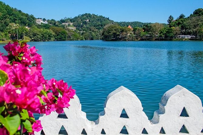 Full Day Kandy Walking Tour With TUK Tuk Ride to Peradeniya Gardens - Visiting Peradeniya Gardens