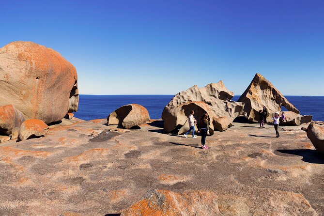 Full-Day Kangaroo Island Experience Departing From Kangaroo Island - Tour Highlights and Itinerary