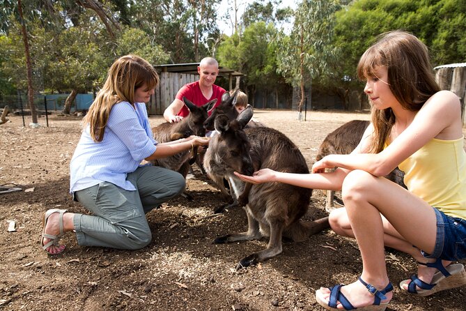 Full-Day Kangaroo Island Experience Departing From Kangaroo Island - Customer Reviews and Feedback