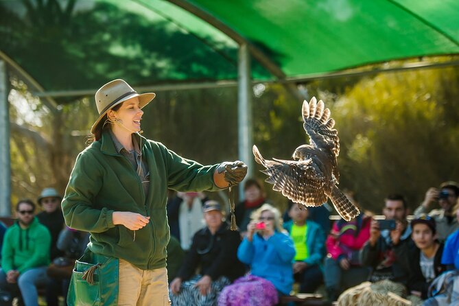 Full Day Kangaroo Island Sip and See Tour Departing From Kangaroo Island - Accessibility and Pet Policy