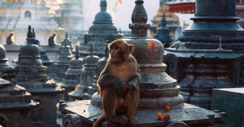 Full Day Kathmandu Sightseeing Tour (UNESCO) - Tour Inclusions