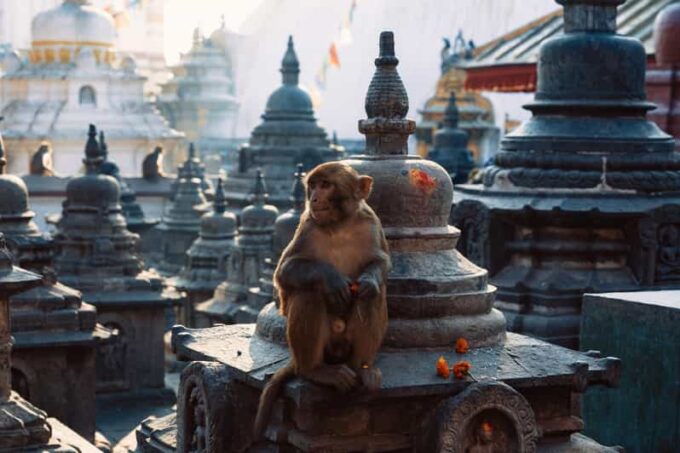 Full Day Kathmandu Sightseeing Tour (UNESCO) - Free Cancellation and Payment