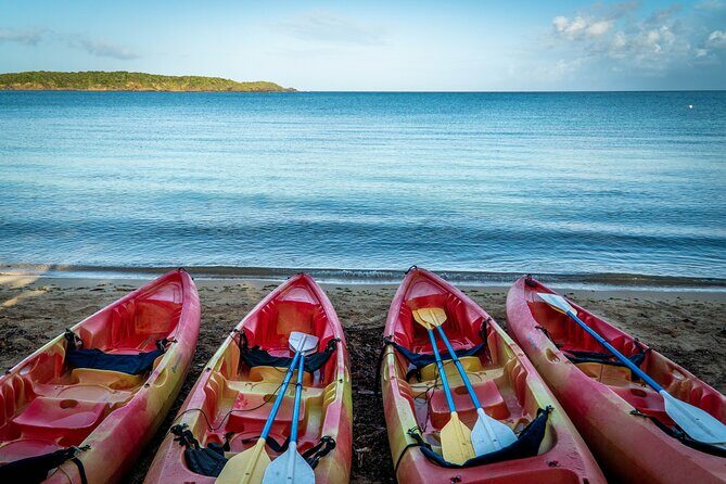Full-Day Kayak Adventure  Explore Fajardos Crystal-Clear Waters - What to Expect from the Kayak Rental Experience
