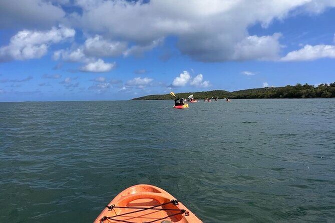 Full-Day Kayak Adventure  Explore Fajardos Crystal-Clear Waters - Who Will Love This Experience?
